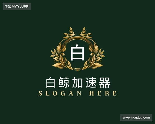 知道白鲸加速器